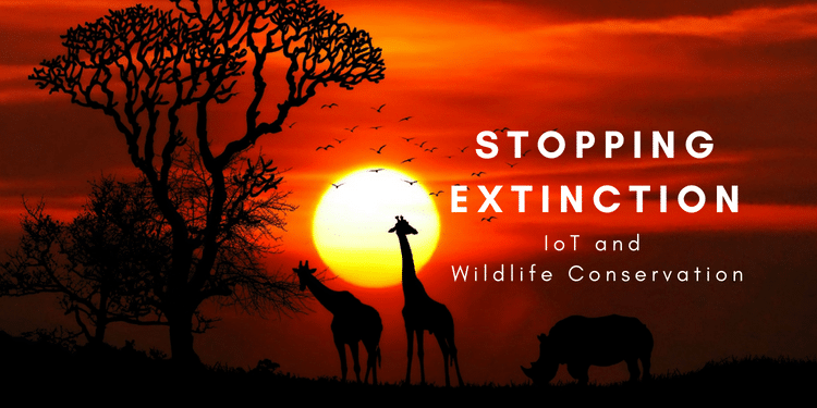 Stopping Extinction IoT and Wildlife Conservation