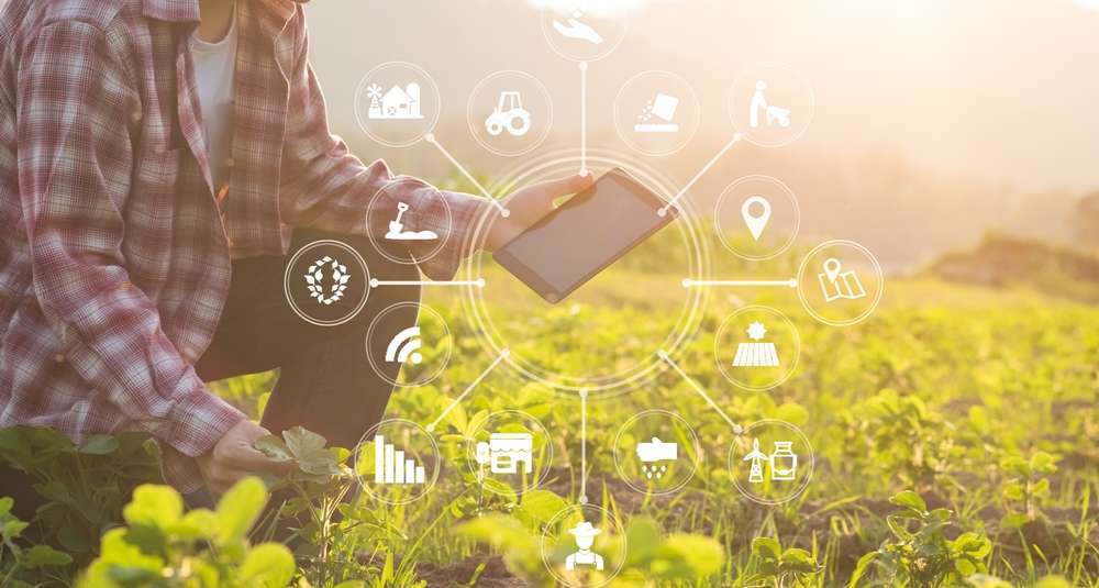 Agriculture technology farmer man using tablet computer analysis data and visual icon.