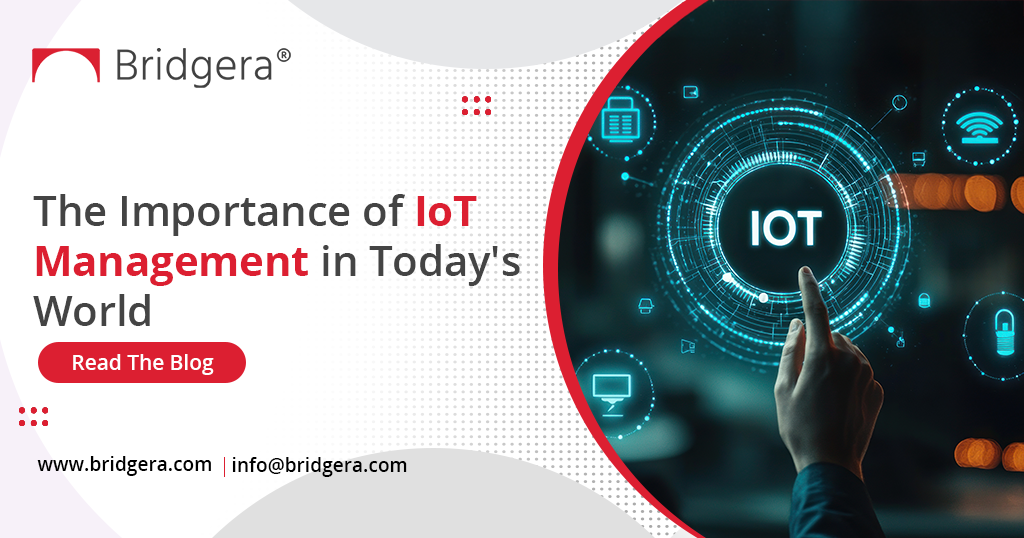 The Importance of IoT Management in Today’s World